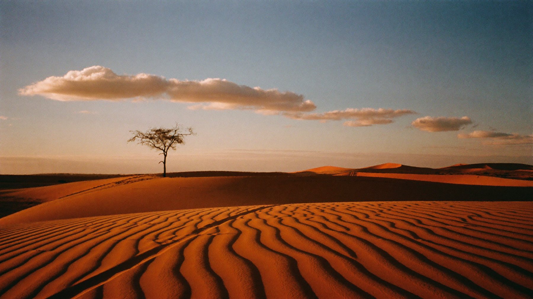 Golden hour on a red Kalahari dune at Loch Maree