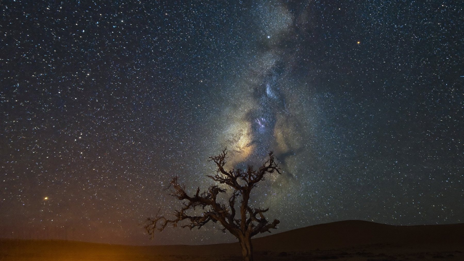 The Milky Way over a camelthorn tree at Loch Maree