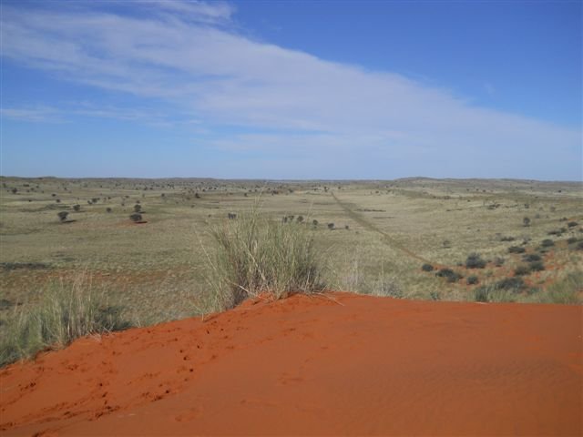 Footprints up the red dune