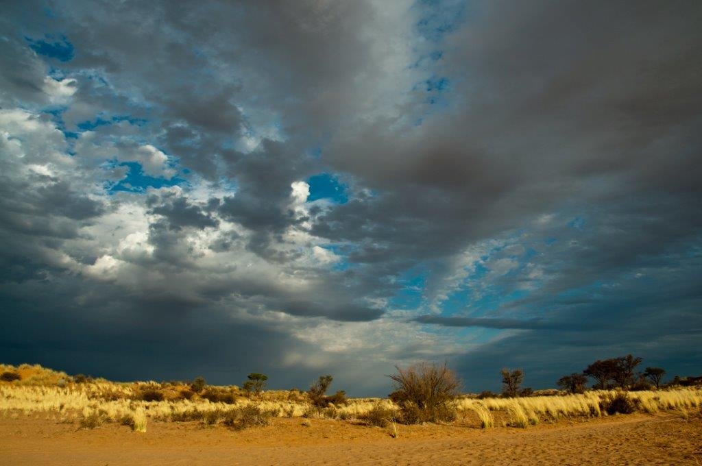 A Kalahari storm sky
